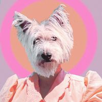 Litku Klemetti - Funny Girl