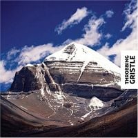 Throbbing Gristle - Part Two: The Endless Not