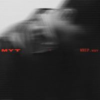 Moses Yoofee Trio - WHIP.wav