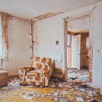American Motors - Content