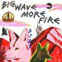 DJDS - Big Wave More Fire
