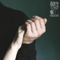 Birds in Row - We Already Lost The World