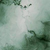 Arborra - Arborra