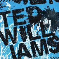Ted Williams - Demo