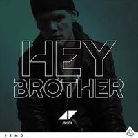 Avicii - Hey Brother
