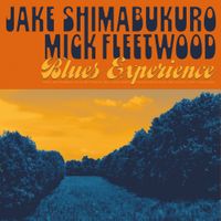 Jake Shimabukuro - Blues Experience