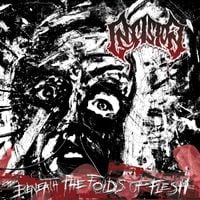 Insision - Beneath the Folds of Flesh