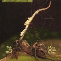 King Vision Ultra - Pain of Mind