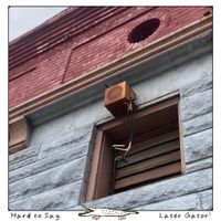 LaterGator - Hard to Say
