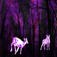 alkypink - MYSTIC CREATURES