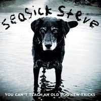Seasick Steve - You Can't Teach an Old Dog New Tricks
