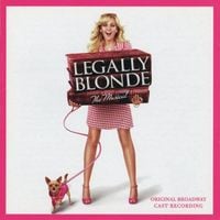 Broadway Cast - Legally Blonde the Musical (Original Broadway Cast Recording)