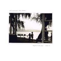 Chihei Hatakeyama - Magnificent Little Dudes, Volume 02