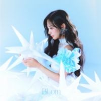 BOL4 - Bloom
