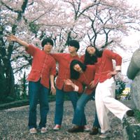 THE HOLDENS - RAIMUGI