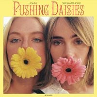 Ashe - Pushing Daisies