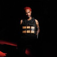 Rob Apollo - Enemy of the State