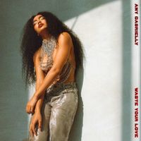 Any Gabrielly - Waste Your Love