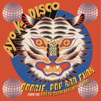 Various Artists - Ayo Ke Disco: Boogie, Pop & Funk from the South China Sea (1974​-​88)