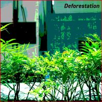 ひぐらしず [Higurashizu] - Deforestation
