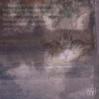 samuelo - Unsteady is the plain in which I walk the mighty valley where you leave me from the summer to the snow I ruminate in longing then creation burns to fogging and you reappear just as fast as you go
