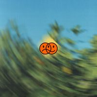 Boston Bun - MIXED FEELINGS