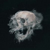 Spor - Skeletonise