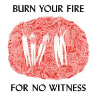 Angel Olsen - Burn Your Fire for No Witness