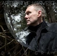 David Gray - After The Harvest