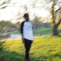 JPEGMAFIA - EP II