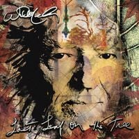 Willie Nelson - Lost Cause