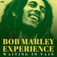 Bob Marley - Waiting in Vain