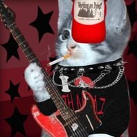 wifiskeleton - ​i fucking hate fiona gallagher