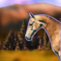 Swinford - horse