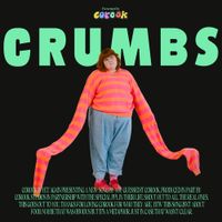 corook - crumbs