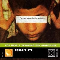 Pablo's Eye - You Have a Yearning for Perfection