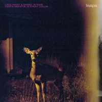 Daniel Wyche - Deer's Breathe in Every Color
