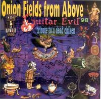 Onion Fields From Above - Space Tribute To A Dead Chicken (Guitar Evil '98)