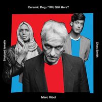 Ceramic Dog - Yru Still Here?