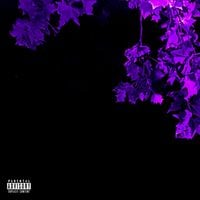 AmyFM - SHIMY. (Disk 2)