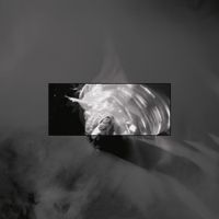 LUCID HAZE - Live at World Culture Museum