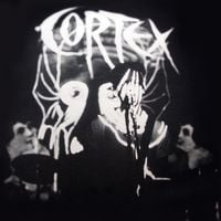 Cortex - Spinal Injuries