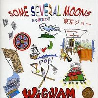 Wigwam - Some Several Moons