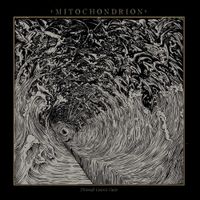 Mitochondrion - Through Cosmic Gaze