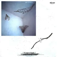 Carlo Sampaolesi / Gioele Balestrini - Il legno &egrave; parola