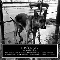 Felső T&iacute;zezer - Norm&aacute;lis &Eacute;let