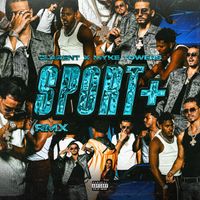 Clarent - Sport+RMX