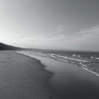 The Declining Winter - Last April