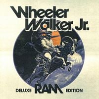 Wheeler Walker Jr. - Money 'N' Bitches (Remix)