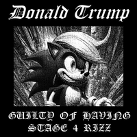 Donald Trump - Guilty of having stage 4 rizz